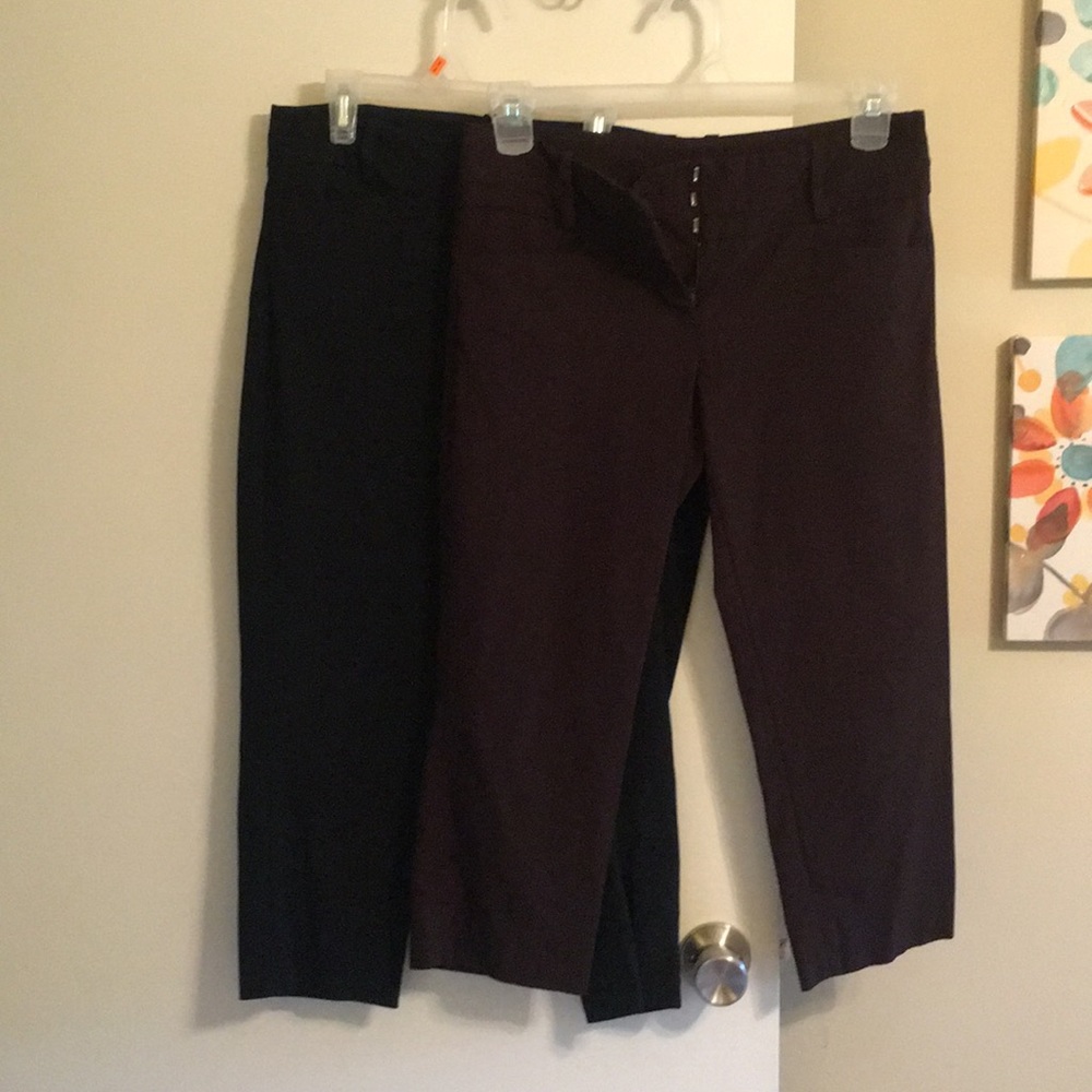 Bundle of dressy crops